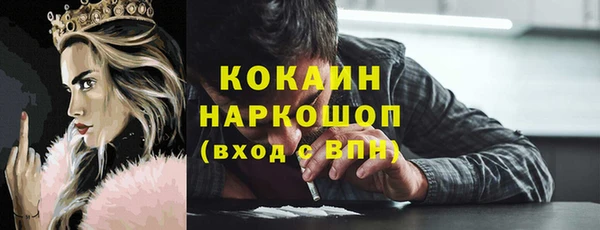 шишки Няндома