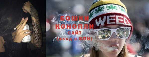 гашик Новодвинск