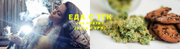 шишки Няндома