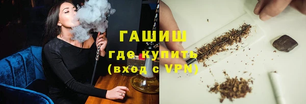 шишки Няндома