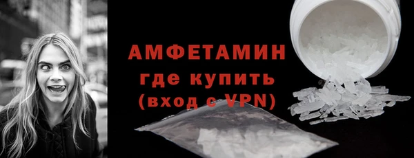 шишки Няндома