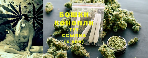 PSILOCYBIN Нягань