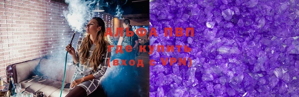 шишки Няндома