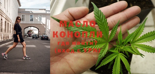 шишки Няндома
