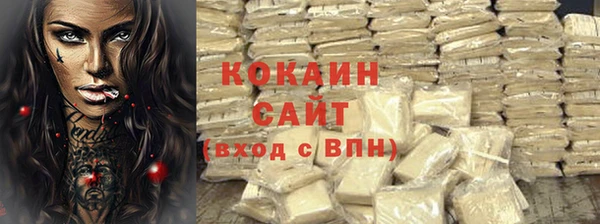 шишки Няндома