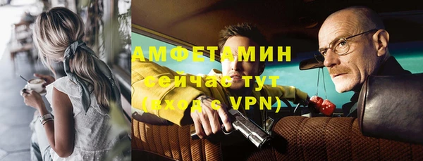 шишки Няндома