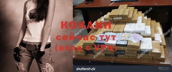 гашик Новодвинск