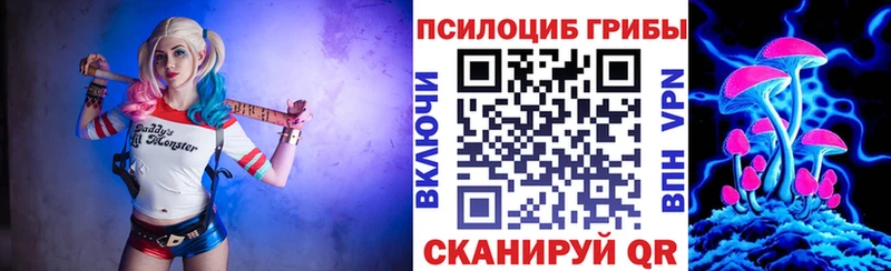 купить наркотик площадка наркотические препараты Галлюциногенные грибы Psilocybine cubensis Таганрог