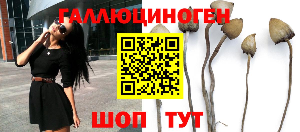 Галлюциногенные грибы Cubensis  Таганрог 